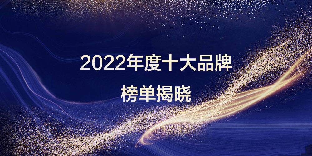 2022年度VR头显行业十大品牌